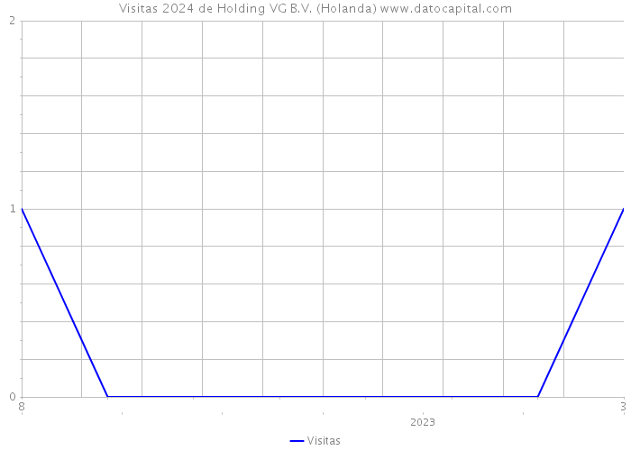 Visitas 2024 de Holding VG B.V. (Holanda) 