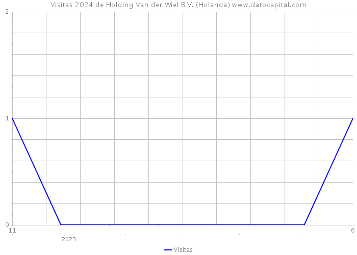 Visitas 2024 de Holding Van der Wiel B.V. (Holanda) 