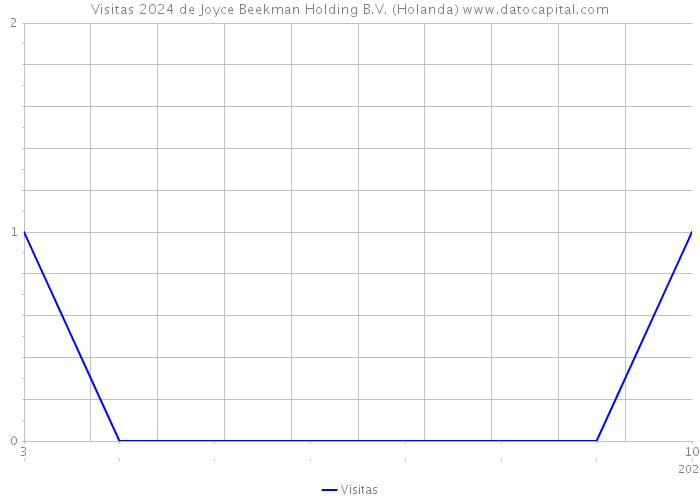 Visitas 2024 de Joyce Beekman Holding B.V. (Holanda) 