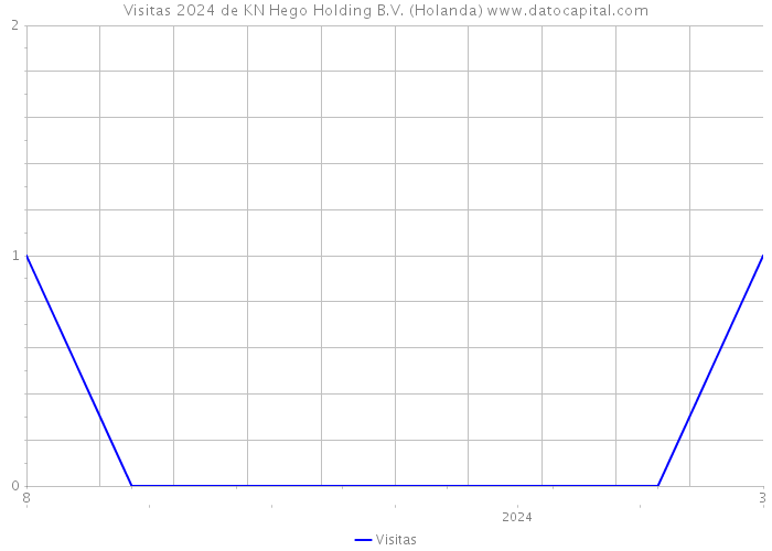 Visitas 2024 de KN Hego Holding B.V. (Holanda) 