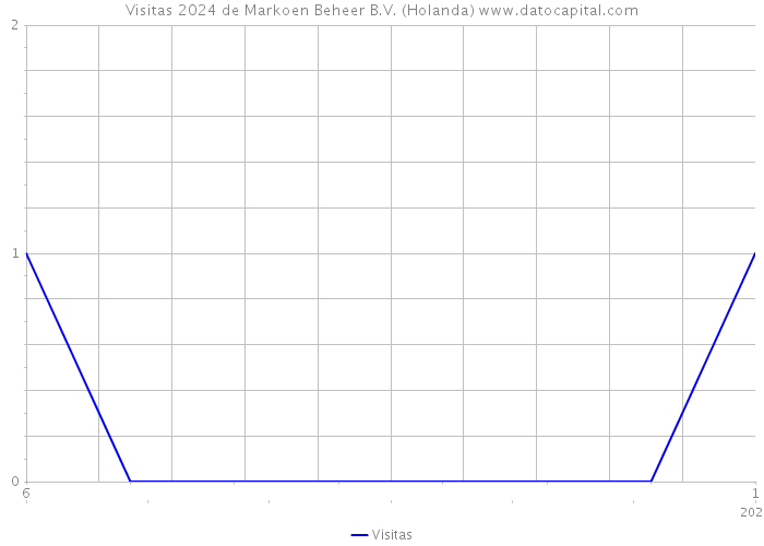 Visitas 2024 de Markoen Beheer B.V. (Holanda) 