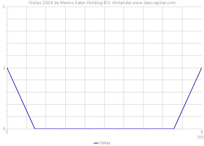 Visitas 2024 de Menno Kater Holding B.V. (Holanda) 