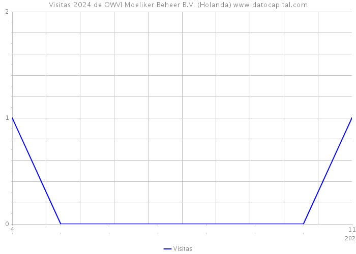 Visitas 2024 de OWVI Moeliker Beheer B.V. (Holanda) 