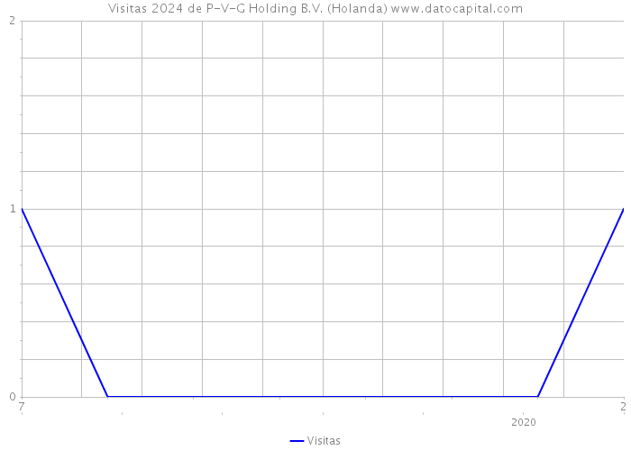 Visitas 2024 de P-V-G Holding B.V. (Holanda) 