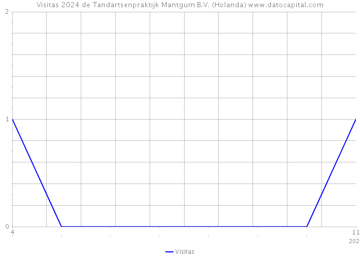 Visitas 2024 de Tandartsenpraktijk Mantgum B.V. (Holanda) 