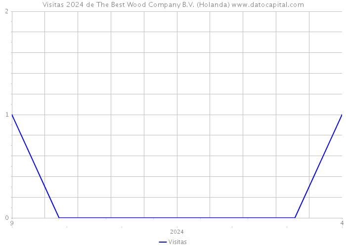 Visitas 2024 de The Best Wood Company B.V. (Holanda) 