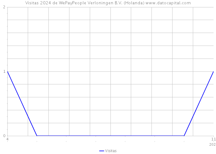 Visitas 2024 de WePayPeople Verloningen B.V. (Holanda) 