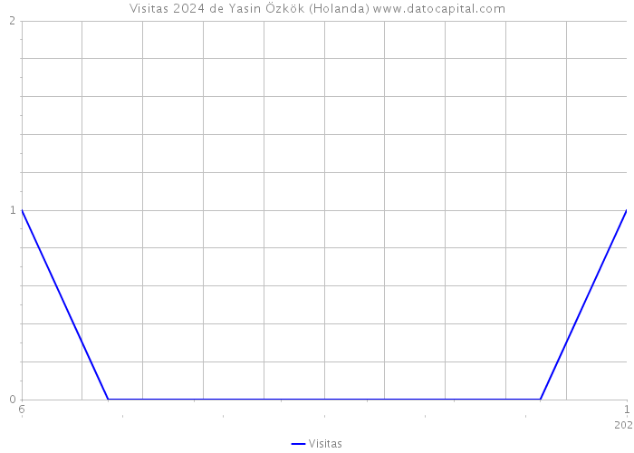 Visitas 2024 de Yasin Özkök (Holanda) 