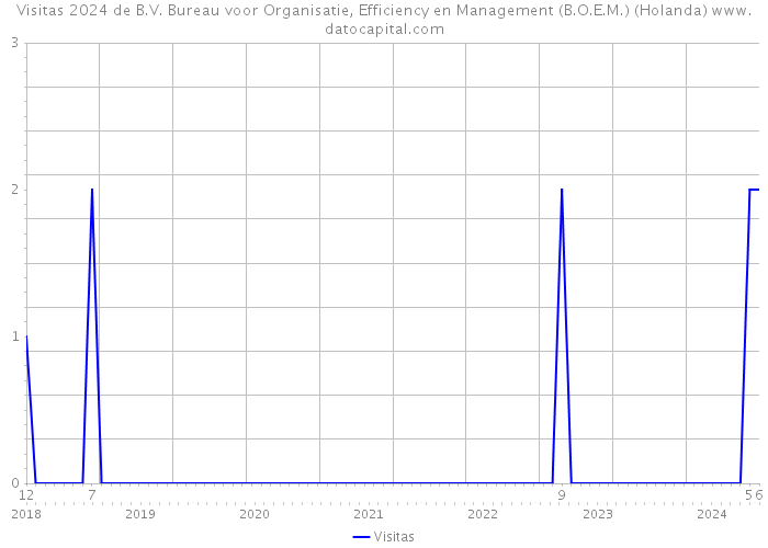 Visitas 2024 de B.V. Bureau voor Organisatie, Efficiency en Management (B.O.E.M.) (Holanda) 