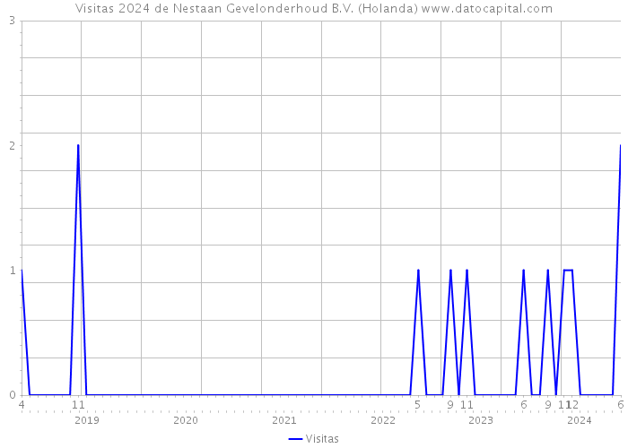 Visitas 2024 de Nestaan Gevelonderhoud B.V. (Holanda) 