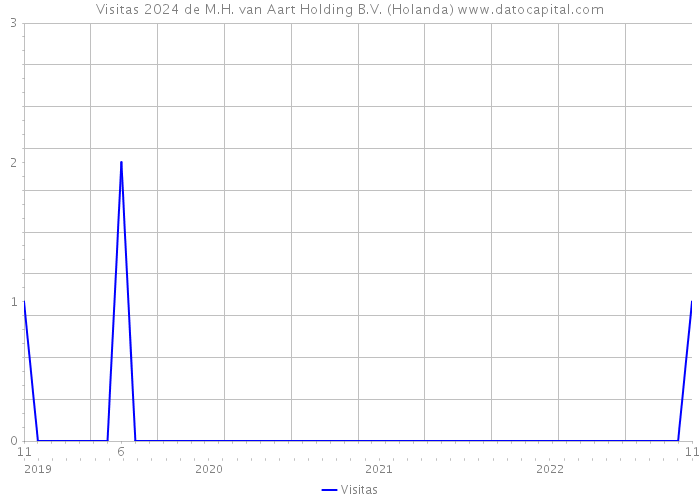 Visitas 2024 de M.H. van Aart Holding B.V. (Holanda) 