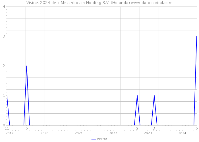 Visitas 2024 de 't Mesenbosch Holding B.V. (Holanda) 