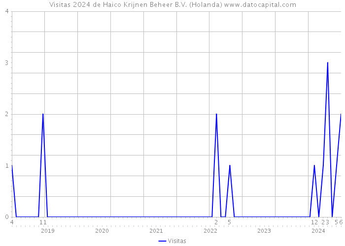 Visitas 2024 de Haico Krijnen Beheer B.V. (Holanda) 