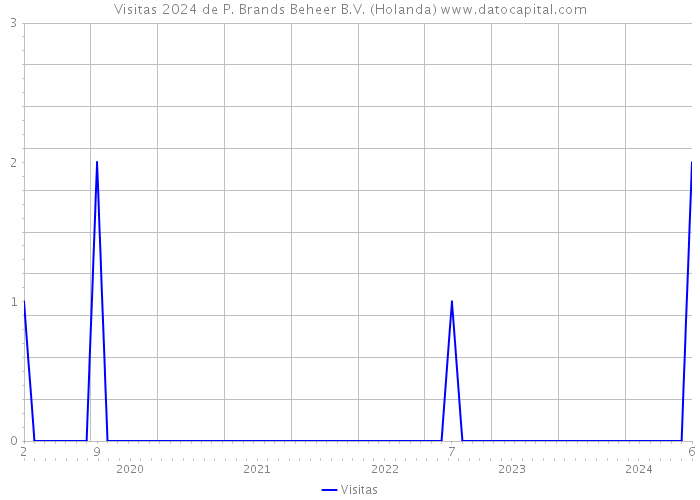 Visitas 2024 de P. Brands Beheer B.V. (Holanda) 