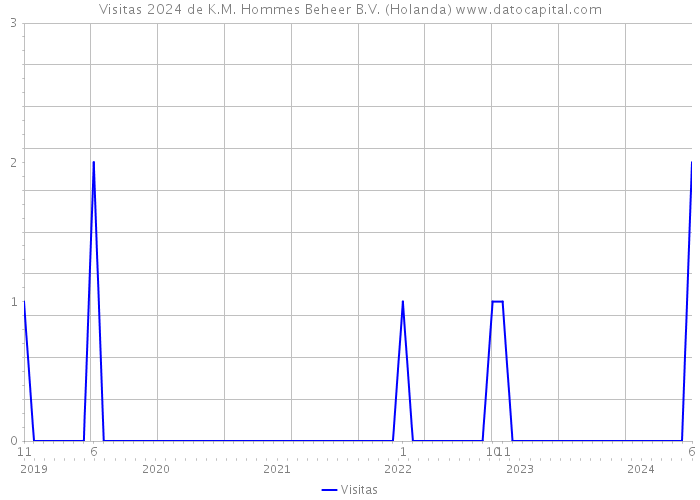 Visitas 2024 de K.M. Hommes Beheer B.V. (Holanda) 