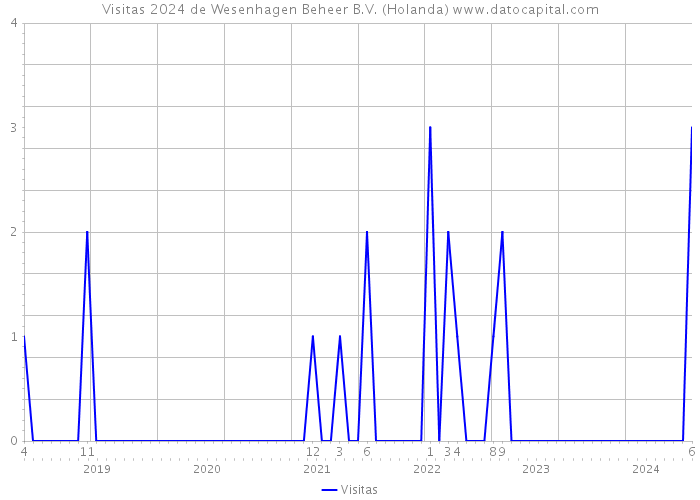 Visitas 2024 de Wesenhagen Beheer B.V. (Holanda) 