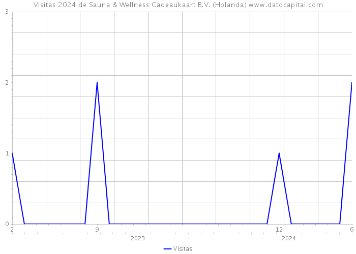 Visitas 2024 de Sauna & Wellness Cadeaukaart B.V. (Holanda) 