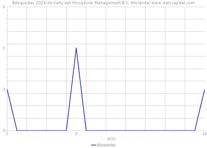 Búsquedas 2024 de Kelly van Hooijdonk Management B.V. (Holanda) 