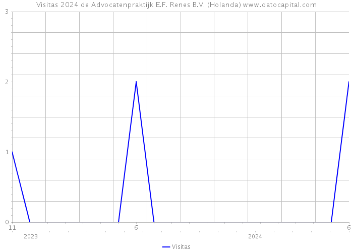 Visitas 2024 de Advocatenpraktijk E.F. Renes B.V. (Holanda) 