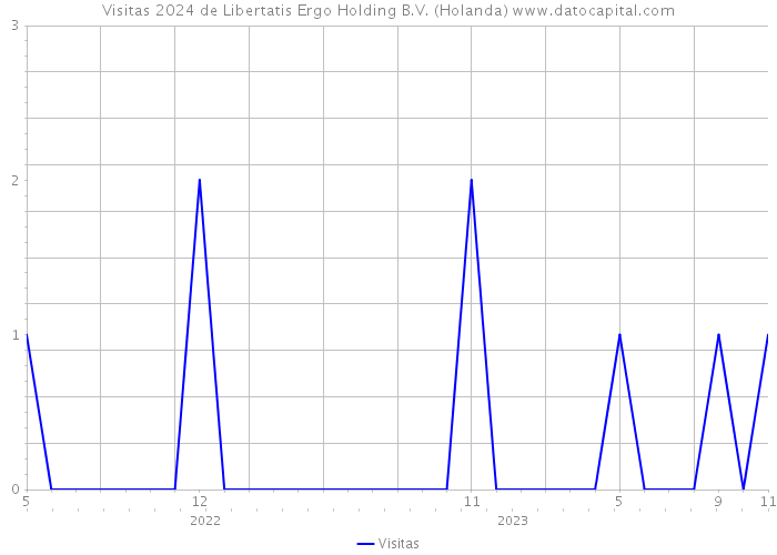 Visitas 2024 de Libertatis Ergo Holding B.V. (Holanda) 