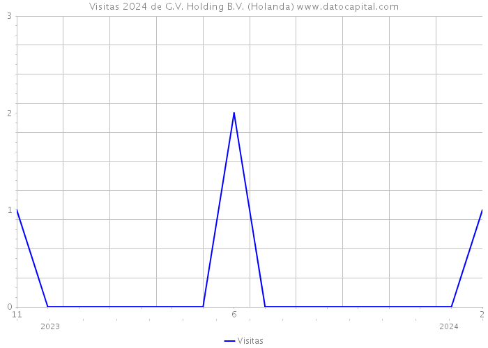 Visitas 2024 de G.V. Holding B.V. (Holanda) 