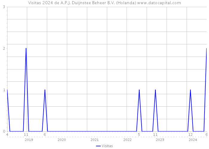 Visitas 2024 de A.P.J. Duijnstee Beheer B.V. (Holanda) 