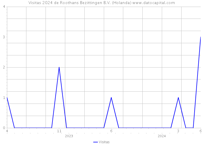 Visitas 2024 de Roothans Bezittingen B.V. (Holanda) 