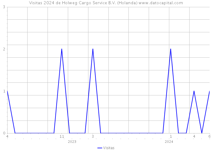 Visitas 2024 de Holweg Cargo Service B.V. (Holanda) 