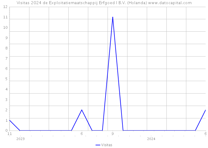 Visitas 2024 de Exploitatiemaatschappij Erfgoed I B.V. (Holanda) 