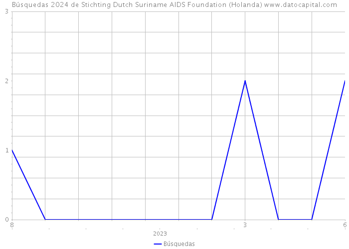 Búsquedas 2024 de Stichting Dutch Suriname AIDS Foundation (Holanda) 