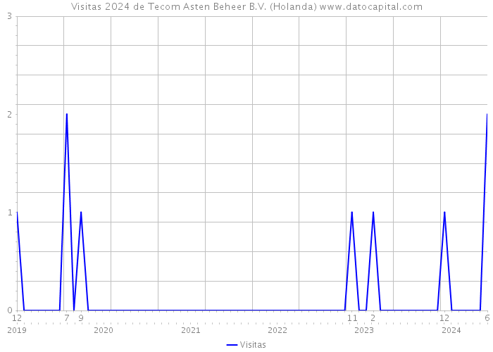 Visitas 2024 de Tecom Asten Beheer B.V. (Holanda) 