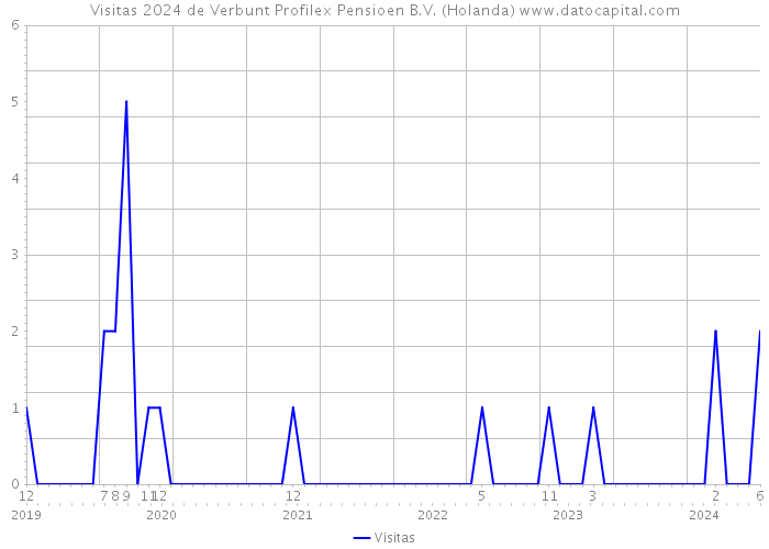 Visitas 2024 de Verbunt Profilex Pensioen B.V. (Holanda) 