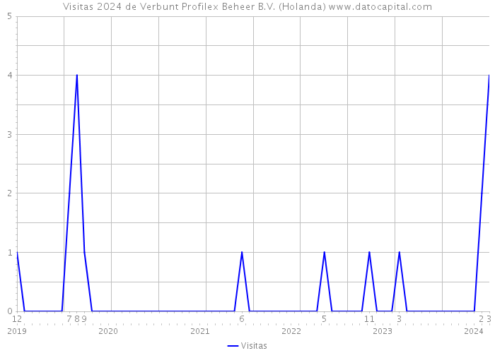 Visitas 2024 de Verbunt Profilex Beheer B.V. (Holanda) 