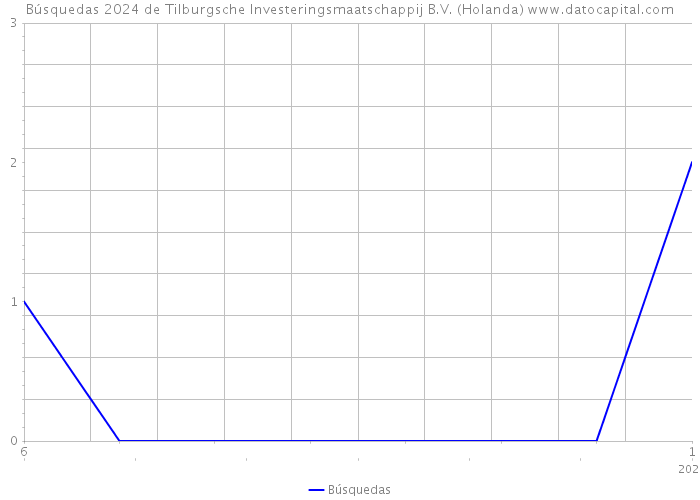 Búsquedas 2024 de Tilburgsche Investeringsmaatschappij B.V. (Holanda) 