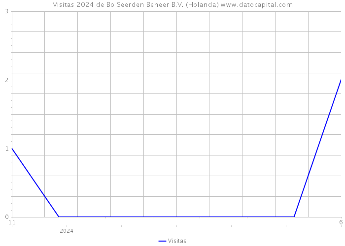 Visitas 2024 de Bo Seerden Beheer B.V. (Holanda) 