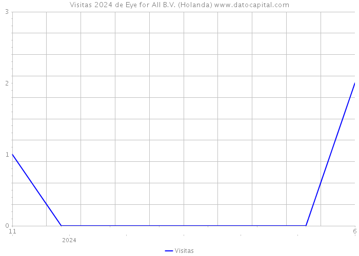 Visitas 2024 de Eye for All B.V. (Holanda) 