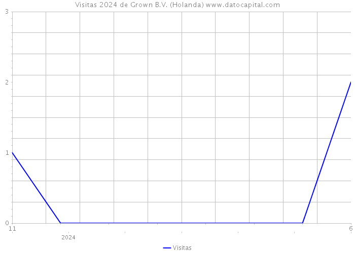 Visitas 2024 de Grown B.V. (Holanda) 