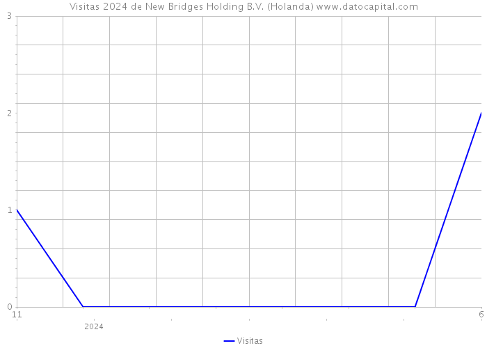 Visitas 2024 de New Bridges Holding B.V. (Holanda) 