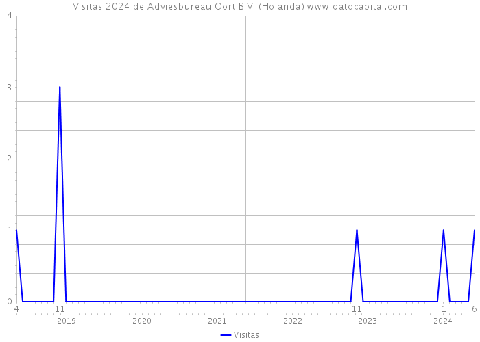 Visitas 2024 de Adviesbureau Oort B.V. (Holanda) 