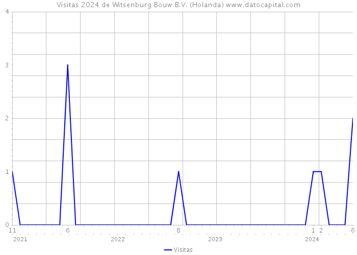 Visitas 2024 de Witsenburg Bouw B.V. (Holanda) 