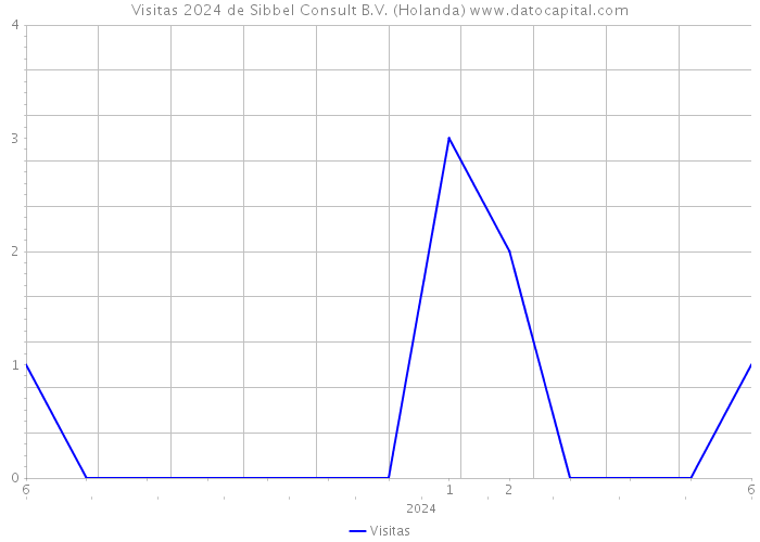 Visitas 2024 de Sibbel Consult B.V. (Holanda) 