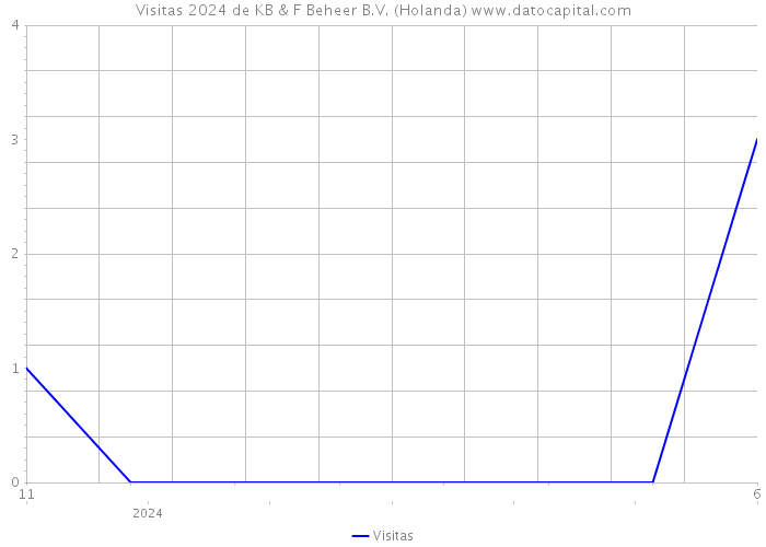 Visitas 2024 de KB & F Beheer B.V. (Holanda) 