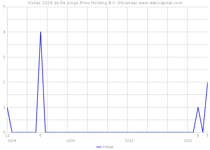 Visitas 2024 de De Jonge Prins Holding B.V. (Holanda) 