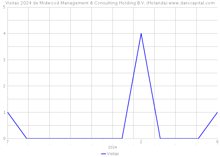 Visitas 2024 de Midwood Management & Consulting Holding B.V. (Holanda) 