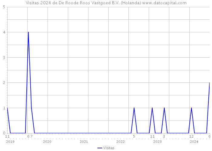 Visitas 2024 de De Roode Roos Vastgoed B.V. (Holanda) 