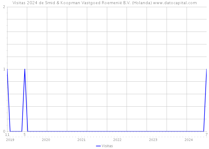 Visitas 2024 de Smid & Koopman Vastgoed Roemenië B.V. (Holanda) 