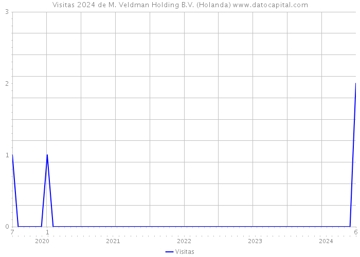 Visitas 2024 de M. Veldman Holding B.V. (Holanda) 