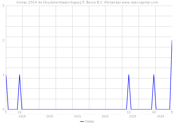 Visitas 2024 de Houdstermaatschappij P. Besse B.V. (Holanda) 