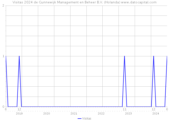 Visitas 2024 de Gunnewijk Management en Beheer B.V. (Holanda) 