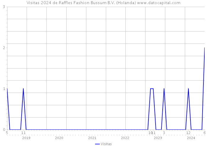 Visitas 2024 de Raffles Fashion Bussum B.V. (Holanda) 